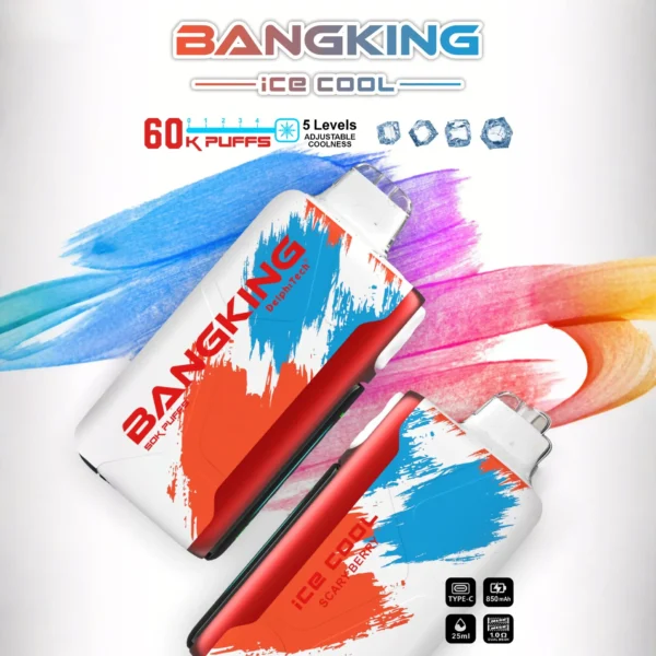 Bang King 60000 Puffs ledeno hladni polnilni enkratni vape z 60.000 Puffs Quad Mesh tuljavo