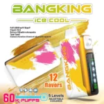 Bang King 60000 Puffs ledeno hladni polnilni enkratni vape z 60.000 Puffs Quad Mesh tuljavo - slika 6