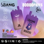 Bang Leader 80000 Puffs – inovativen dizajn, neprimerljiva vzdržljivost in okusni užitek - slika 4