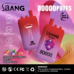 Bang Leader 80000 Puffs – inovativen dizajn, neprimerljiva vzdržljivost in okusni užitek - slika 9