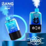 Bang Leader Stoll 120k Puffs Double Flavor Vape | Dolgotrajna uporaba in izpolnjujoča izkušnja vejpanja - slika 2