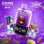Bang Leader Stoll 120k Puffs Double Flavor Vape | Dolgotrajna uporaba in izpolnjujoča izkušnja vejpanja - slika 9