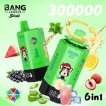 Bang Leader Stoll 300000 Puffs Vape – 6-v-1 aromatični sistem Ultra High Capacity Mesh Coil Type-C Charging OEM/ODM združljiv - slika 2