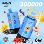 Bang Leader Stoll 300000 Puffs Vape – 6-v-1 aromatični sistem Ultra High Capacity Mesh Coil Type-C Charging OEM/ODM združljiv - slika 5