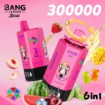 Bang Leader Stoll 300000 Puffs Vape – 6-v-1 aromatični sistem Ultra High Capacity Mesh Coil Type-C Charging OEM/ODM združljiv - slika 6