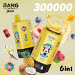 Bang Leader Stoll 300000 Puffs Vape – 6-v-1 aromatični sistem Ultra High Capacity Mesh Coil Type-C Charging OEM/ODM združljiv - slika 7