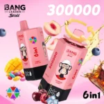Bang Leader Stoll 300000 Puffs Vape – 6-v-1 aromatični sistem Ultra High Capacity Mesh Coil Type-C Charging OEM/ODM združljiv - slika 8