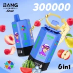 Bang Leader Stoll 300000 Puffs Vape – 6-v-1 aromatični sistem Ultra High Capacity Mesh Coil Type-C Charging OEM/ODM združljiv - slika 12